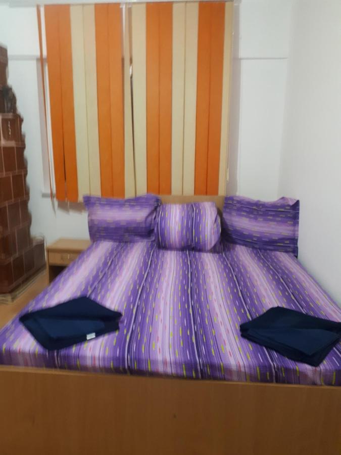 Apartament 2 Camere Semidecomandat "La Gicu" Сулина Экстерьер фото