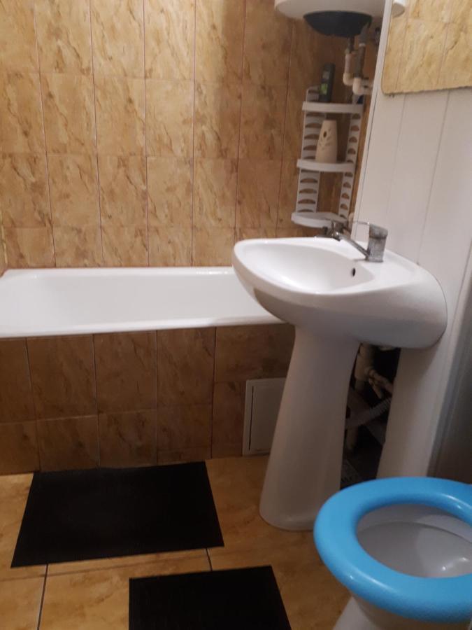 Apartament 2 Camere Semidecomandat "La Gicu" Сулина Экстерьер фото